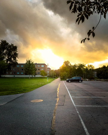 Walk way in gothenburg with trees and setting sun. Swedenのeditorial素材