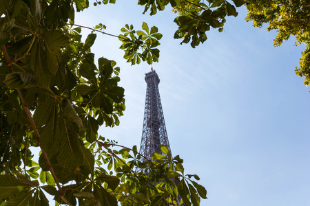 Eiffel tower framed in trees during sunny summer day,Paris,Franceの写真素材