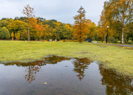 Reflection of a tree full of fall colors and a black cabin in slottskogen gothenburg,swedenの写真素材