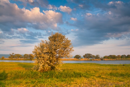 Colorful summer landscape near the river