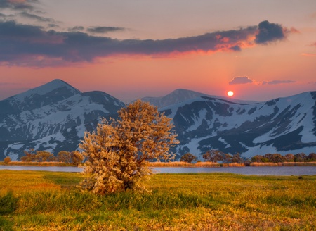 Colorful summer landscape near the river in the huge mountains. Sunsetの写真素材