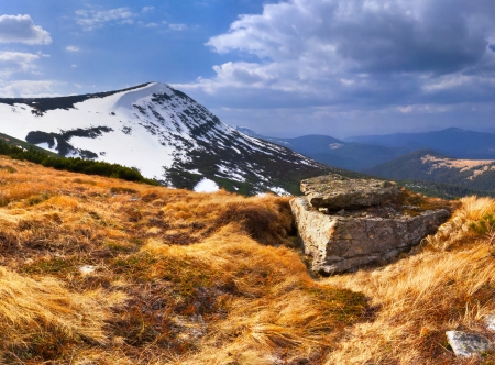 spring landscape in the Carpathian mountainsの写真素材