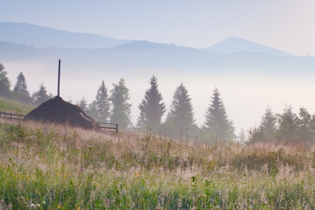 misty morning in the mountains villageの写真素材