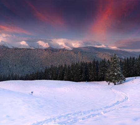 Winter landscape in the mountains. Sunriseの写真素材