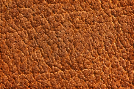 Old leather, brown chamois textureの写真素材
