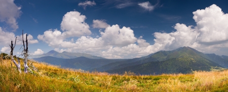 Panorama of the mountains at summerの写真素材