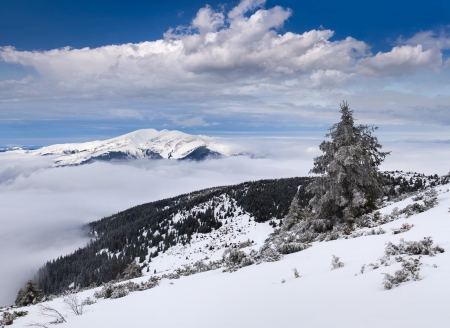 Beautiful winter landscape in the mountainsの写真素材