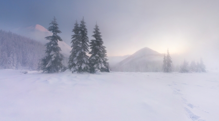 Beautiful winter landscape in the mountains. Sunriseの写真素材