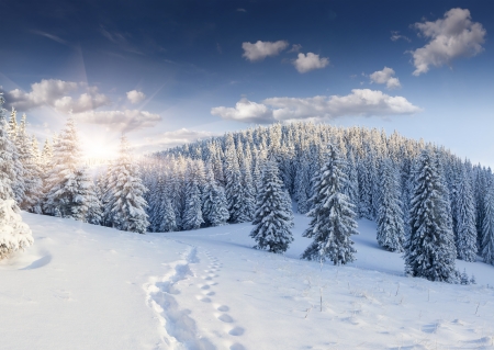 	Beautiful winter landscape in the mountainsの写真素材