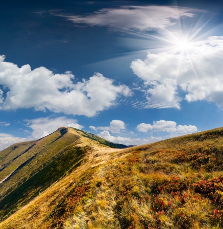 Colorful autumn landscape in the mountainsの写真素材