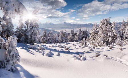 Walking in winter mountains after heavy snowfallの写真素材