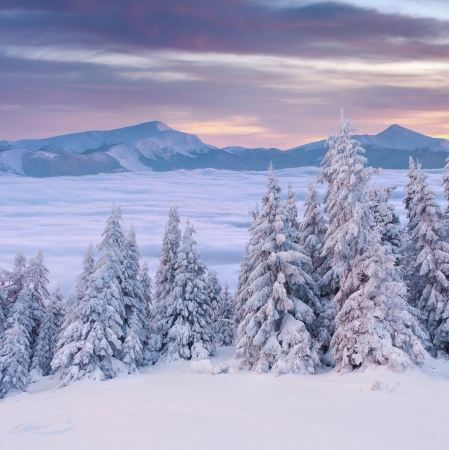 Foggy winter landscape in the mountains. Sunriseの写真素材