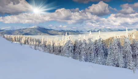 Panorama of the foggy winter morning in mountainsの写真素材