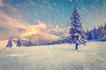 Beautiful winter sunrise in the mountains. Retro style.の写真素材