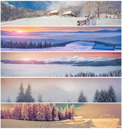 Winter collage with 5 different Christmas landscape for banners.の写真素材