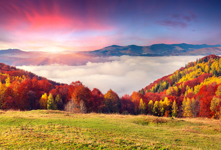 Colorful autumn morning in the Carpathian mountains. Sokilsky ridge, Ukraine, Europe.