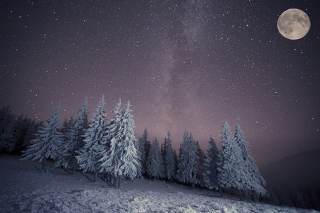 Dairy Star Trek in the winter woodsの写真素材