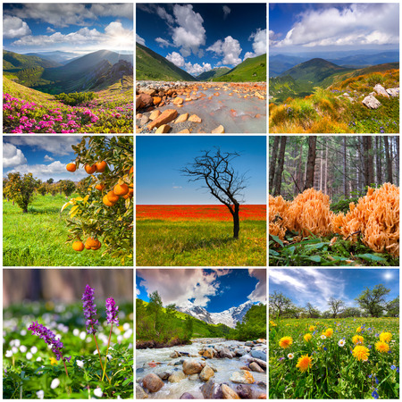 Collage with 9 square summer landscapes.の写真素材