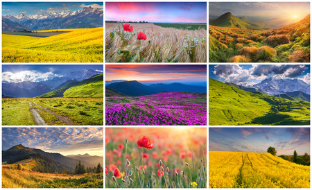 Collage with 9 colorful summer landscapes.の写真素材