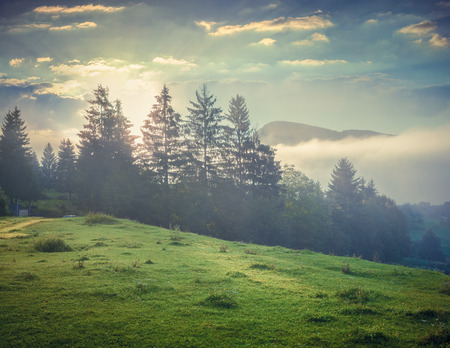 Foggy summer morning in the Triglav national park, near the Bohinj lake. Slovenia, Alps, Europe. Retro style.