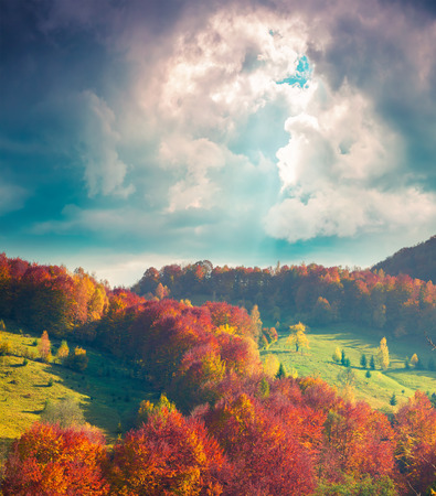 Colorful autumn morning in the Carpathian mountainsの写真素材