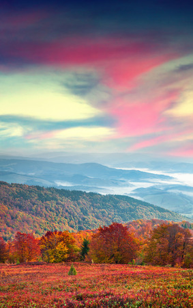 Fantastic colors autumn landscape in the Carpathian mountains. Borzhava ridge, Ukraine, Europe. Inastagram toning.の写真素材