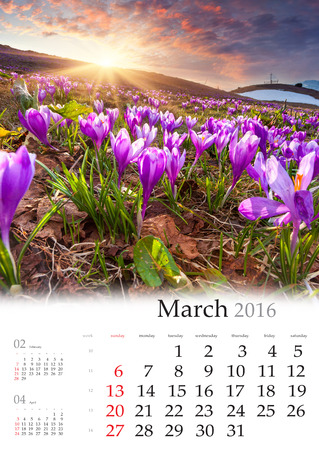 Calendar 2016. March. Colorful spring sunrise with a field of blossom flower.の写真素材