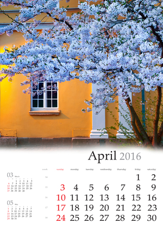 Calendar 2016. April. Evening spring scene with blossom sakura tree.の写真素材