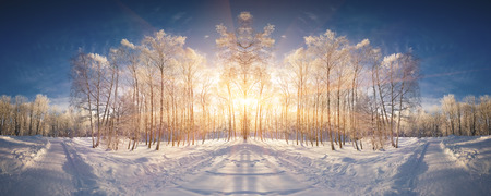 Horizontally flipped winter landscape in the city park.