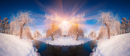 Horizontally flipped winter landscape in the city park.の写真素材