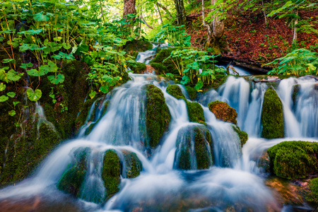 Nice morning view of Plitvice National Park. Colorful spring scene of green forest with pure water waterfall. Beautiful countryside landscape of Croatia, Europe. Beauty of nature concept background.の写真素材