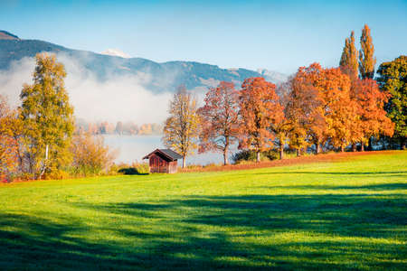 Colorful autumn scene of Kurpark in Thumersbach village, located on the shore of the Zell lake....