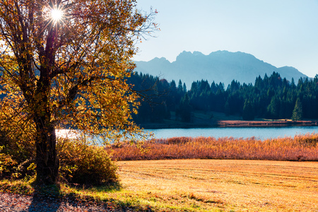 Splendid morning scene of Wagenbruchsee lake with Kaltwasserkar Spitze mountain range on background. Beautifel autumn view of Bavarian Alps, Germany, Europe. Beauty of nature concept background.の写真素材