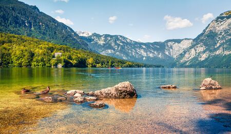 Wild ducks on the Bohinj lake. Colorful summer view of Triglav national park. Beautiful morning scene of  Slovenia, Alps, Europe. Beauty of nature concept background.の写真素材
