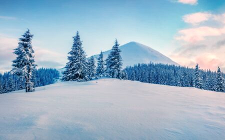 Picturesque winter sunrise in mountain with snow covered fir trees, Carpathians, Ukraine, Europe. Colorful outdoor scene, Happy New Year celebration concept. Orton Effect.の写真素材