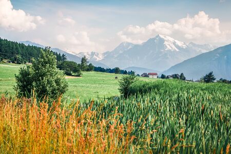 Captivating summer scene of Ortler peak from Haidersee (Lago della Muta) lake. Splendid morning view of Italian Alps, Italy, Europe. Beauty of countryside concept background.の写真素材