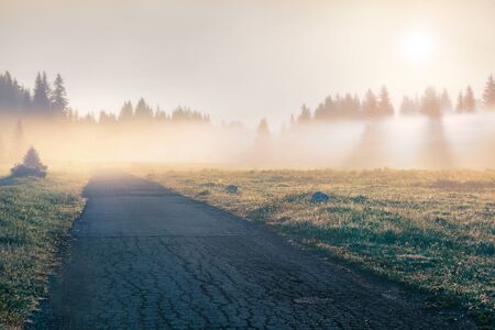Foggy summer sunrise in Durmitor Nacionalni Park with old country road. Misty morning view of Montenegro countryside, Zabljak town location. Beautiful world of Mediterranean countries. の写真素材