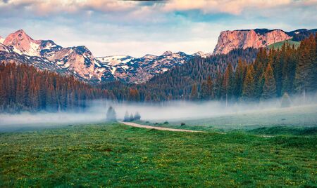 Breathtaking summer sunrise in Durmitor Nacionalni Park. Wonderful foggy view of of Montenegro countryside, Zabljak town location. Beautiful world of Mediterranean countries. Traveling concept background.の写真素材