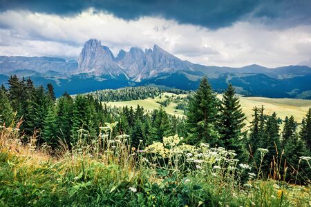 Rainy morning scene of Compaccio village, Seiser Alm or Alpe di Siusi location, Bolzano province,...