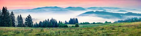 Panorama morning view of foggy Carpathian mountains. Great summer sunrise in Borzhava ridge,...