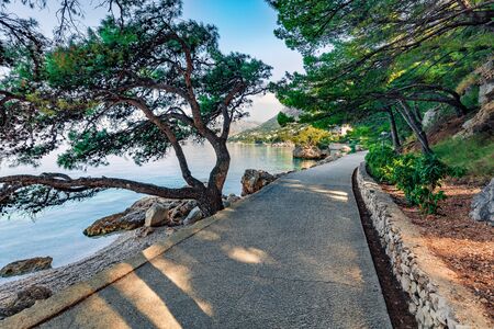 Wonderful summer view of Brela seaside park. Stunning morning scene of small Adriatic town, Croatia,...