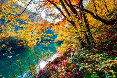 Adorable morning view of pure water river in Plitvice National Park. Splendid autumn scene of Croatia, Europe. Abandoned places of Plitvice lakes series. Beauty of nature concept background.の写真素材
