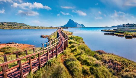 View from flying drone. Gorgeous spring scene of Spiaggia di Porto Taverna beach. Aerial morning view of Sardinia island, Italy, Europe. Exciting Mediterranean seascape. Beauty of nature concept background.の写真素材