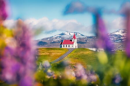 Attractive morning view of ice iconic church - Ingjaldsholl. Colorful summer scene of Iceland with field of blooming lupine flowers and snowy mountains on background. Travel to Iceland.の写真素材