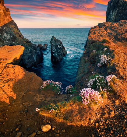 Exciting sunrise on popular tourist attraction - Valahnukamol bay. Spectacular morning scene of Iceland, Europe. Traveling concept background.の写真素材