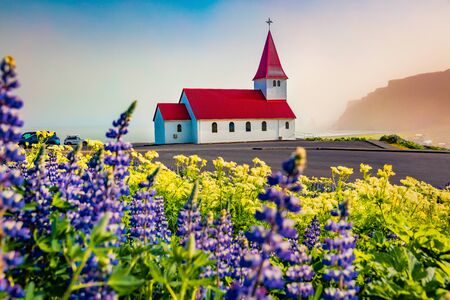 Misty morning view of Vikurkirkja (Vik i Myrdal Church) with Reynisdrangar on background, Vik location. Colorful summer scene of Iceland with field of blooming lupine flowers. Travel to Iceland.の写真素材