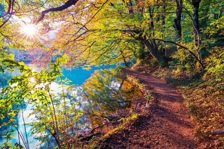 Sun rays through the branches in the autumn forest. Splendid morning view of pure water river in Plitvice National Park, Croatia, Europe. Beauty of nature concept background.の写真素材
