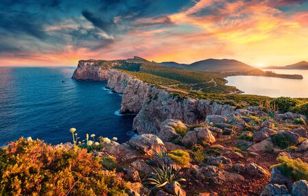 Panotamic view of Caccia cape. Astonishing spring sunrise on Sardinia island, Italy, Europe. Attractive morning seascape of Mediterranean sea. Beauty of nature concept background.の写真素材