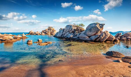 Calm summer view of Tamaricciu beach. Sunny morning scene of Corsica island, France, Europe. Impressive Mediterranean seascape. Beauty of nature concept background.の写真素材