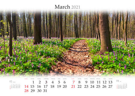 Calendar March 2021, B3 size. Set of calendars with amazing landscapes. First warm days in forest. Colorful outdoor scene of blooming mountain flowers.の写真素材